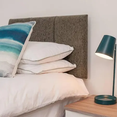 Apartment House Sleeps 9 - Mycityhaven Newport (Gwent)