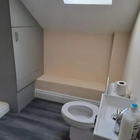 Lovely 1-bed Loft In Apartment Newport (Gwent)