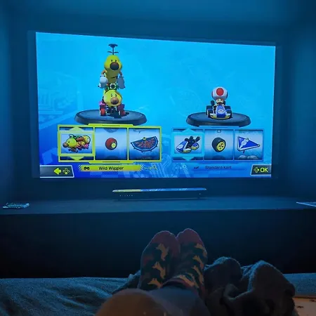Cosy Cinema Campsite *