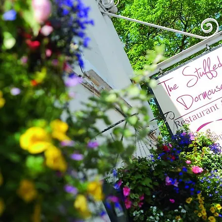 The Stuffed Dormouse Hotel Hotel
