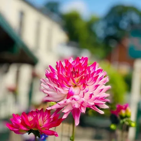 Milton Hotel Llanwern Village Guest house 3*